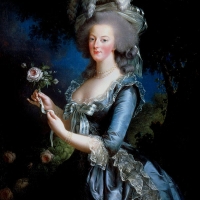 Мария Антуанетта известна своей любовью к роскоши. Даже в самые тяжелые для Франции времена она тратила баснословные суммы на свои наряды, украшения и азартные игры. В конце концов королева стала жертвой заговора, главную роль в котором играло одно из самых дорогих украшений того времени.